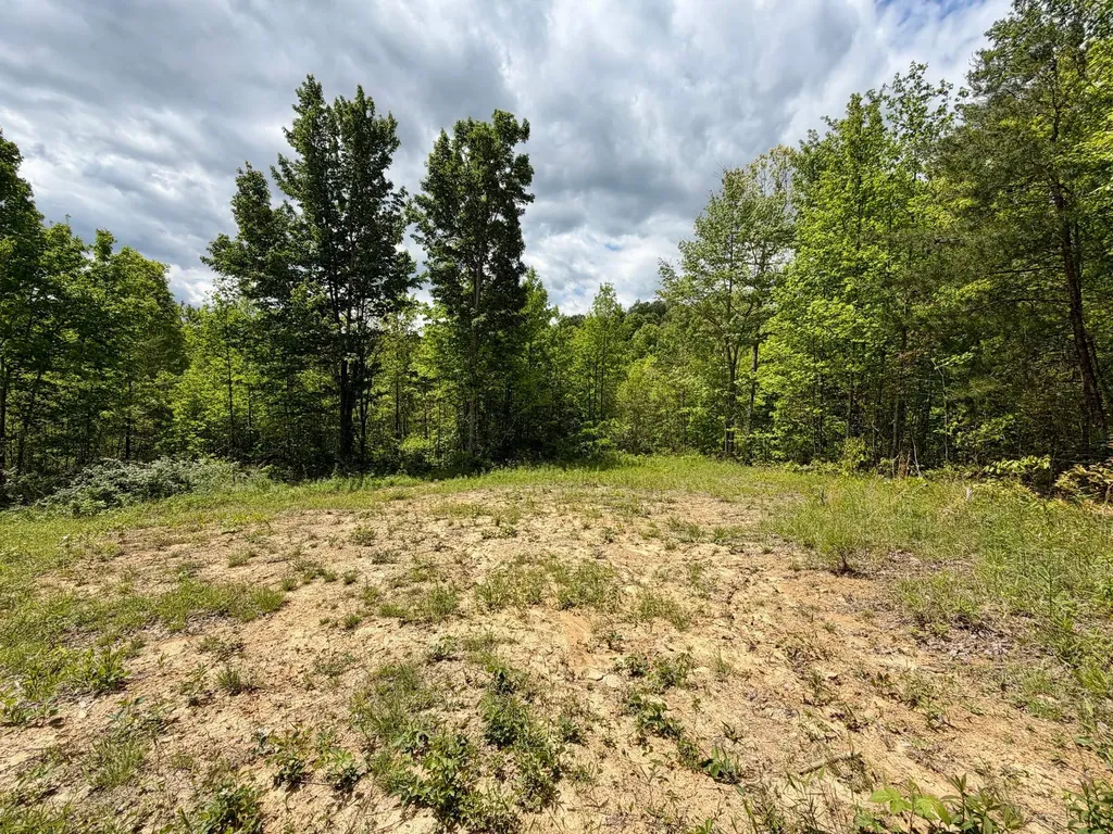 100A Open Fork Road Morehead KY 40351