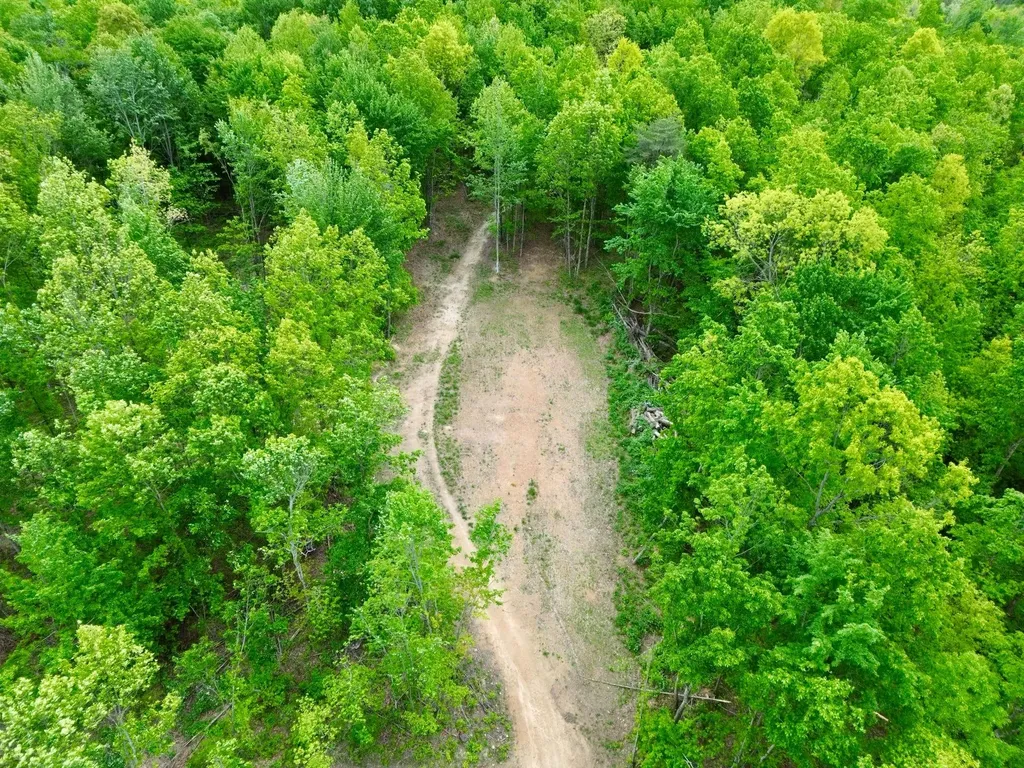 100A Open Fork Road Morehead KY 40351