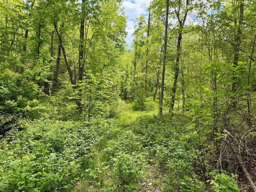 100A Open Fork Road Morehead KY 40351