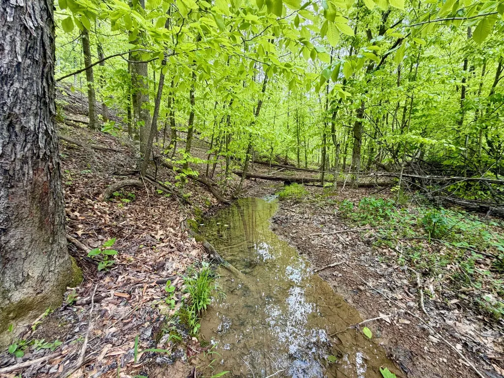100A Open Fork Road Morehead KY 40351