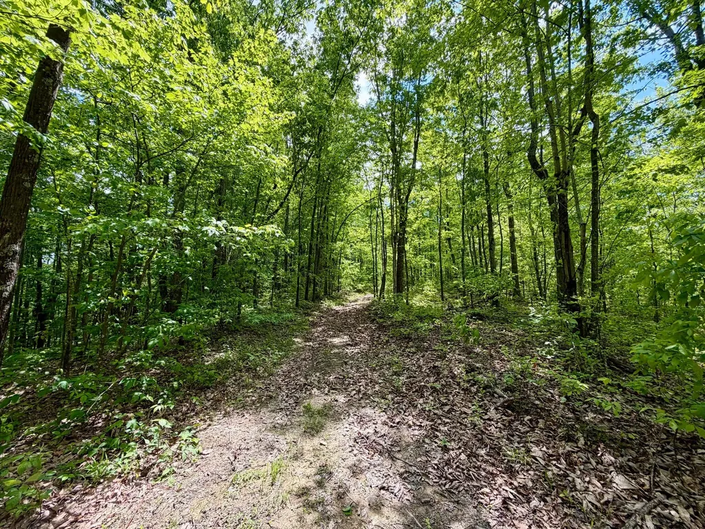 100A Open Fork Road Morehead KY 40351