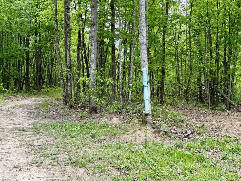 100A Open Fork Road Morehead KY 40351