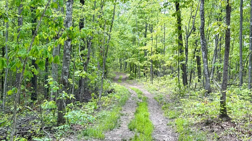 100A Open Fork Road Morehead KY 40351