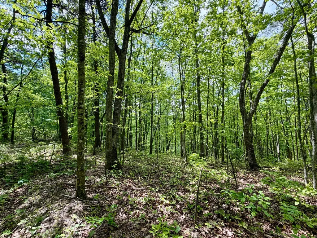 100A Open Fork Road Morehead KY 40351