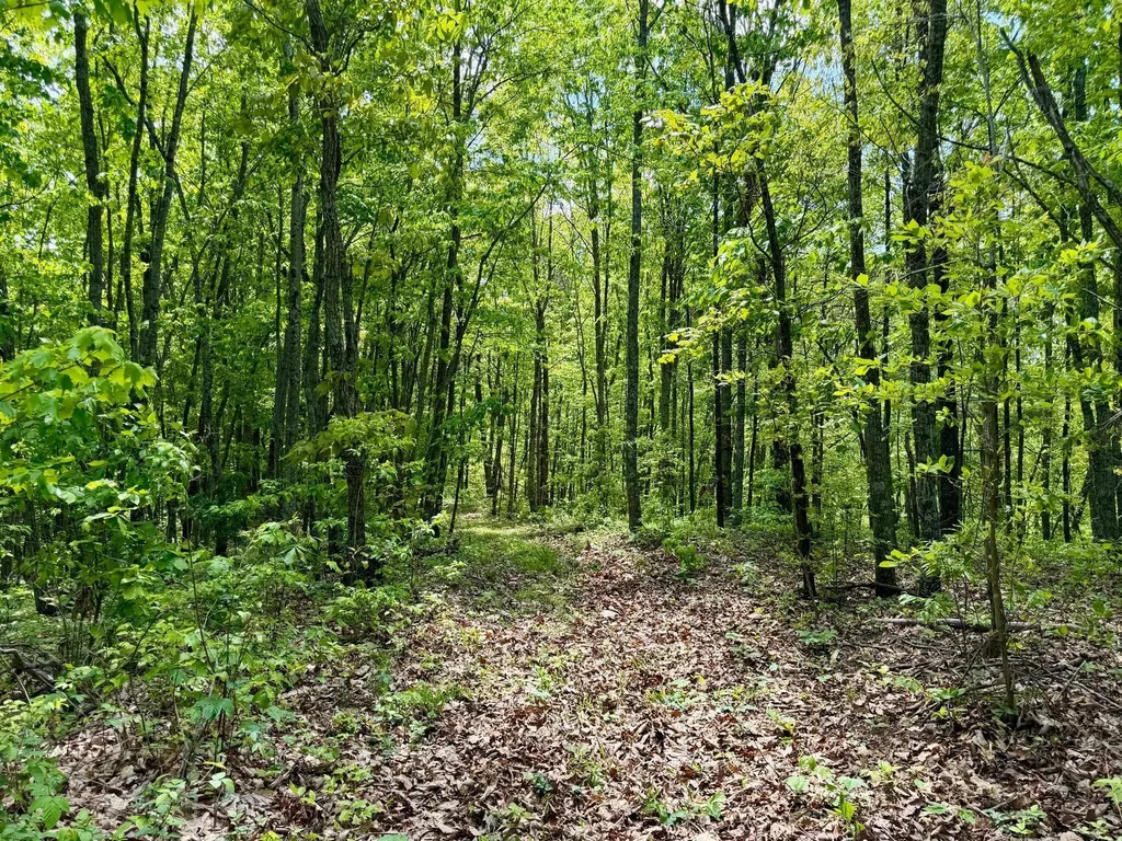 100A Open Fork Road Morehead KY 40351