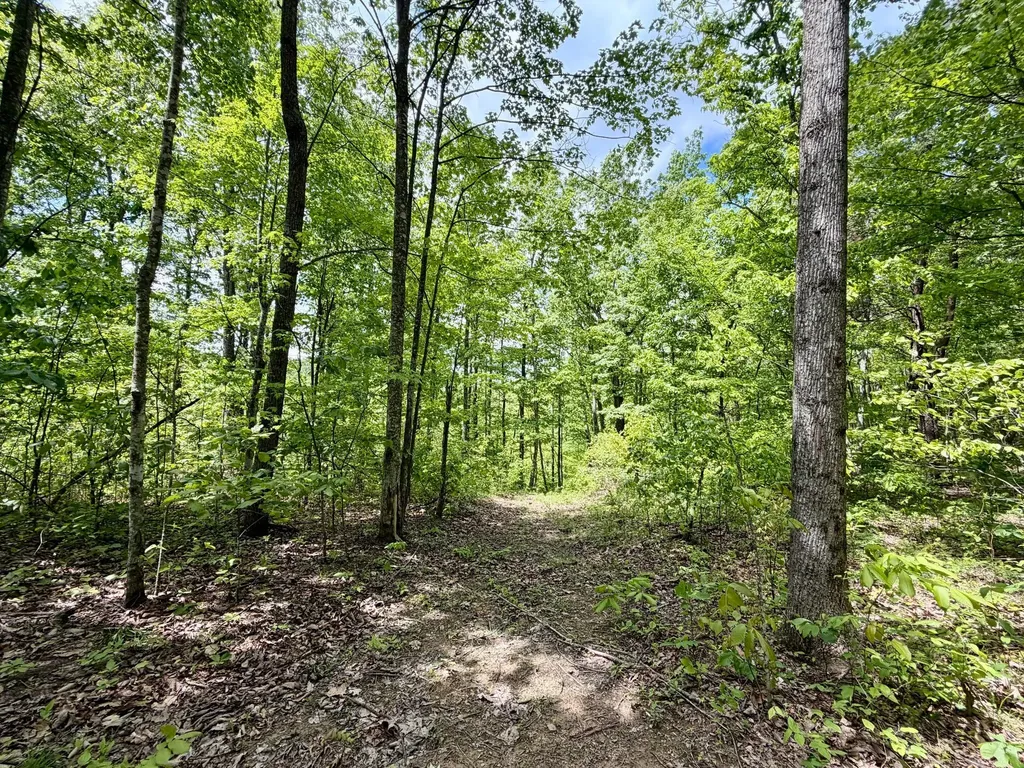 100A Open Fork Road Morehead KY 40351