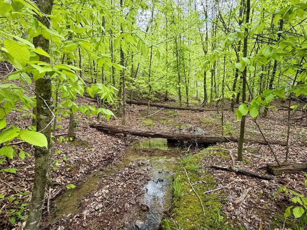 100A Open Fork Road Morehead KY 40351