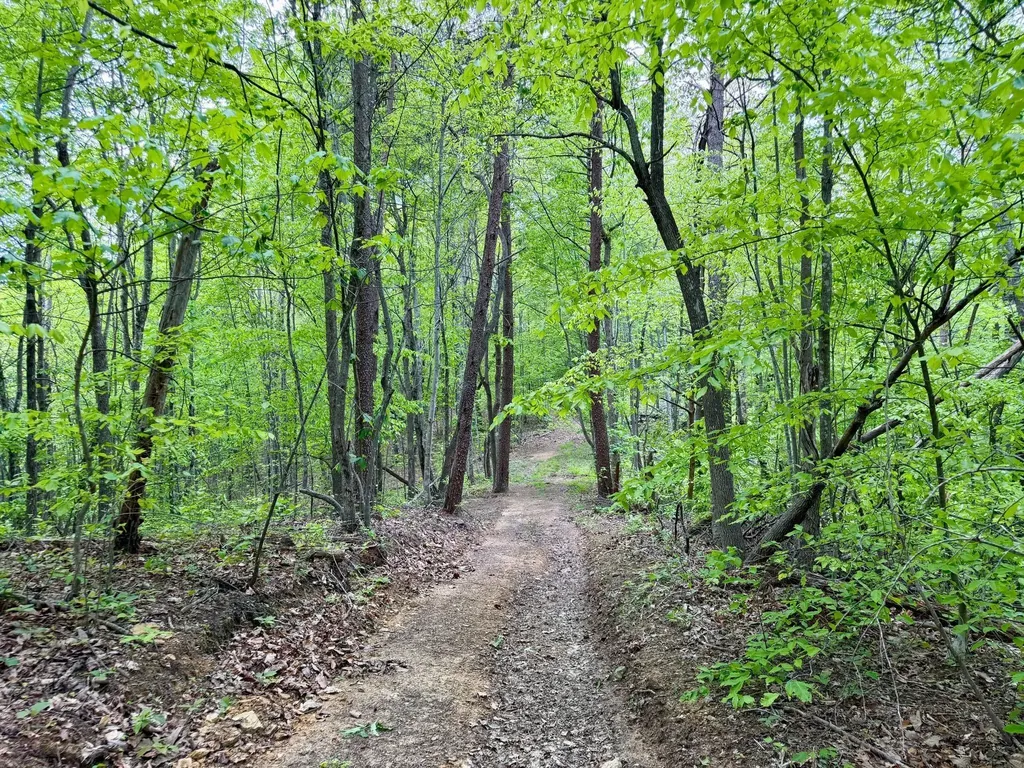 100A Open Fork Road Morehead KY 40351