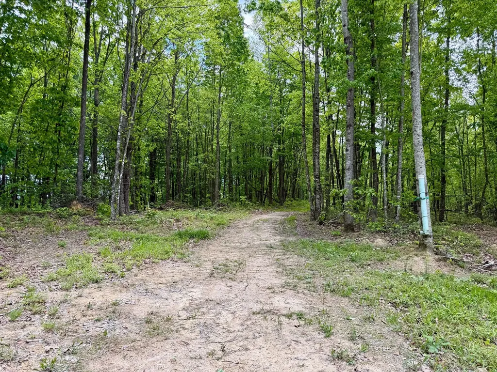 100A Open Fork Road Morehead KY 40351