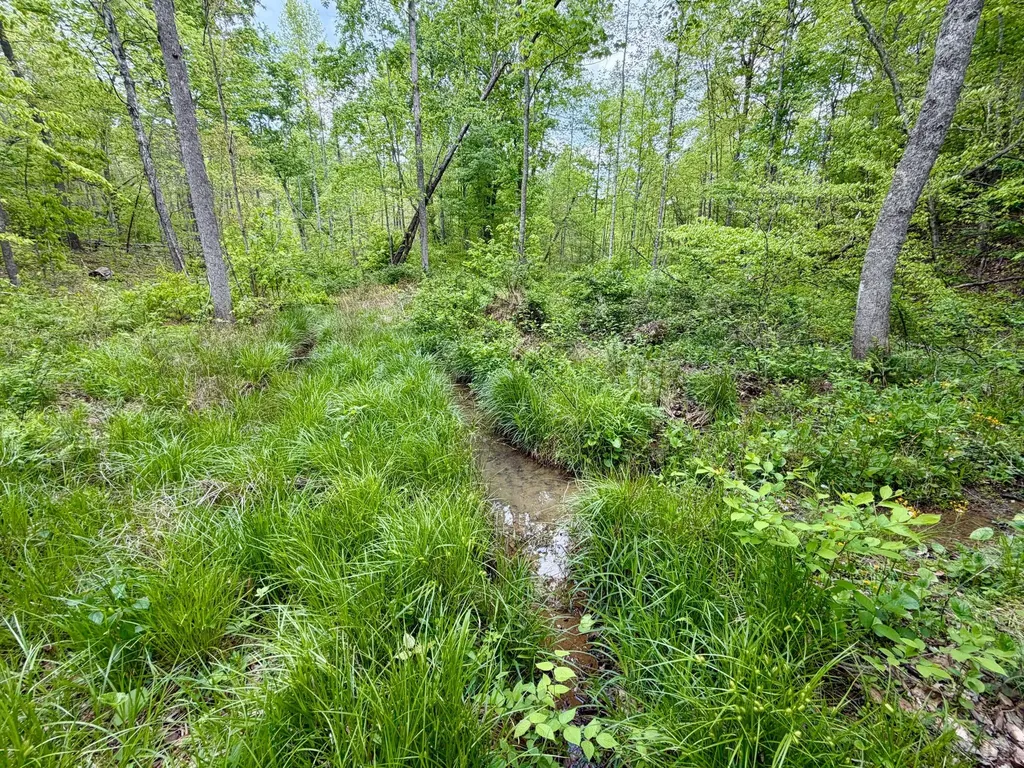 100A Open Fork Road Morehead KY 40351
