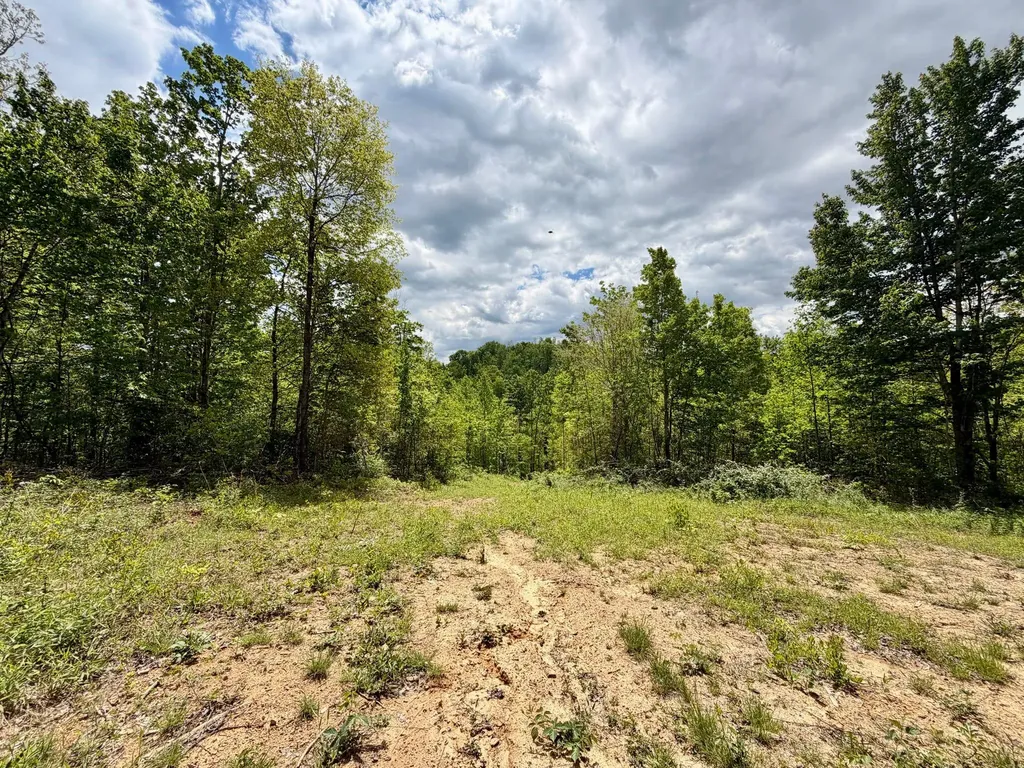 100A Open Fork Road Morehead KY 40351