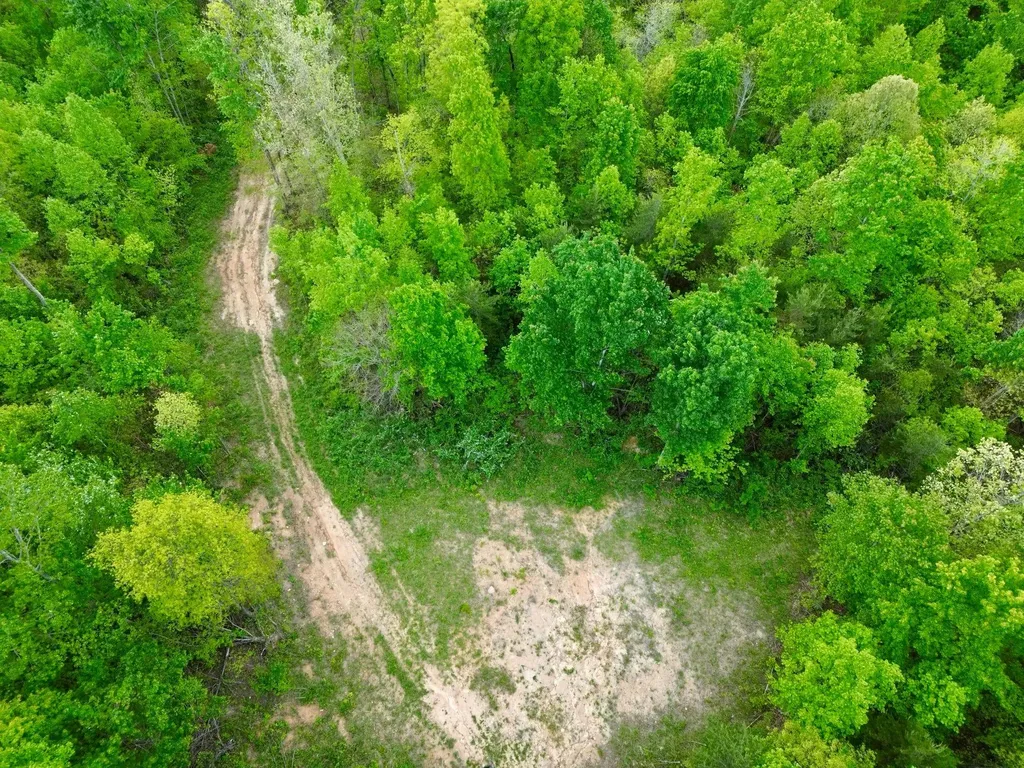 100A Open Fork Road Morehead KY 40351