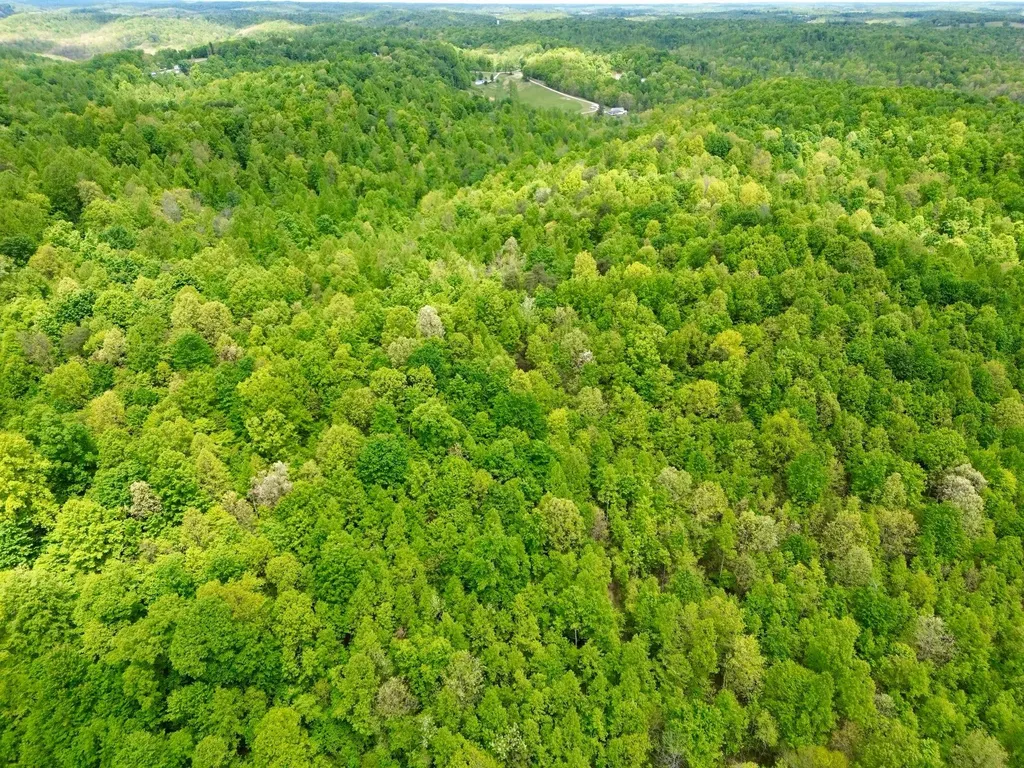 100A Open Fork Road Morehead KY 40351