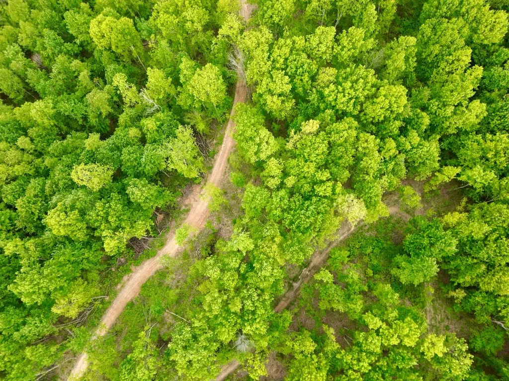 100A Open Fork Road Morehead KY 40351