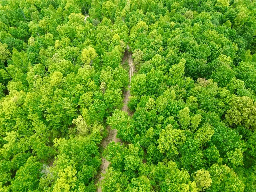 100A Open Fork Road Morehead KY 40351