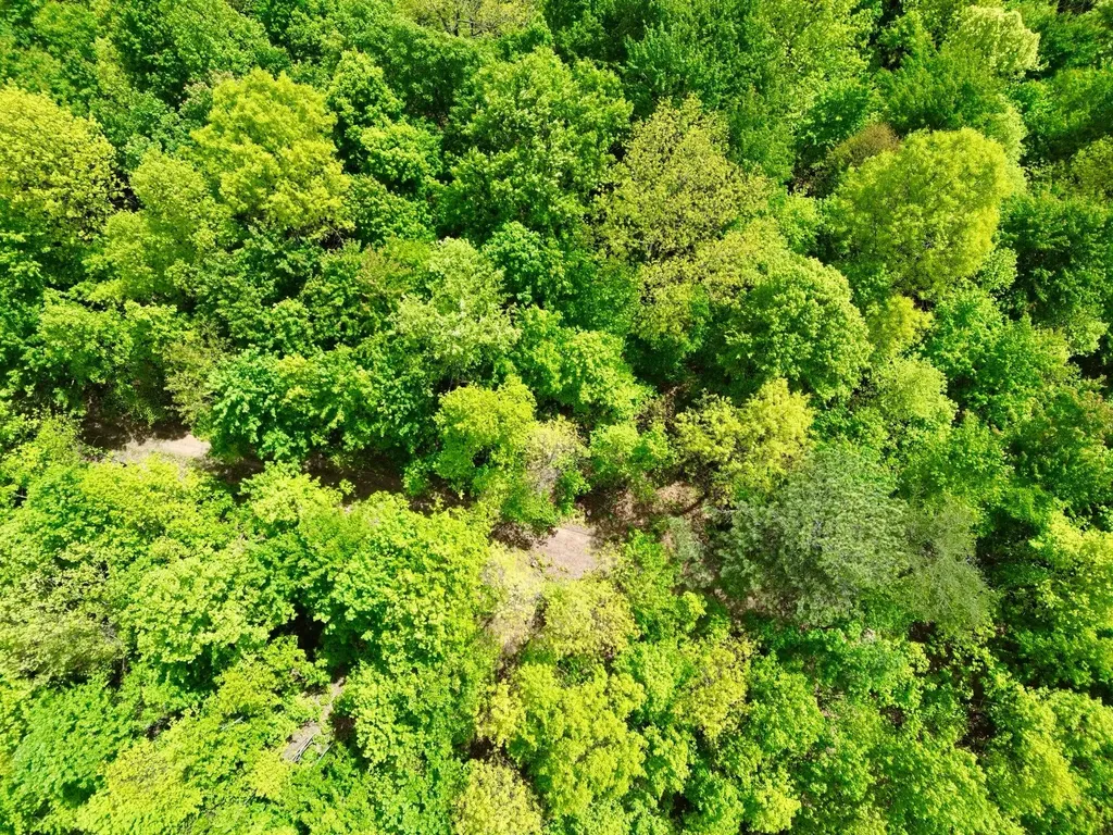 100A Open Fork Road Morehead KY 40351