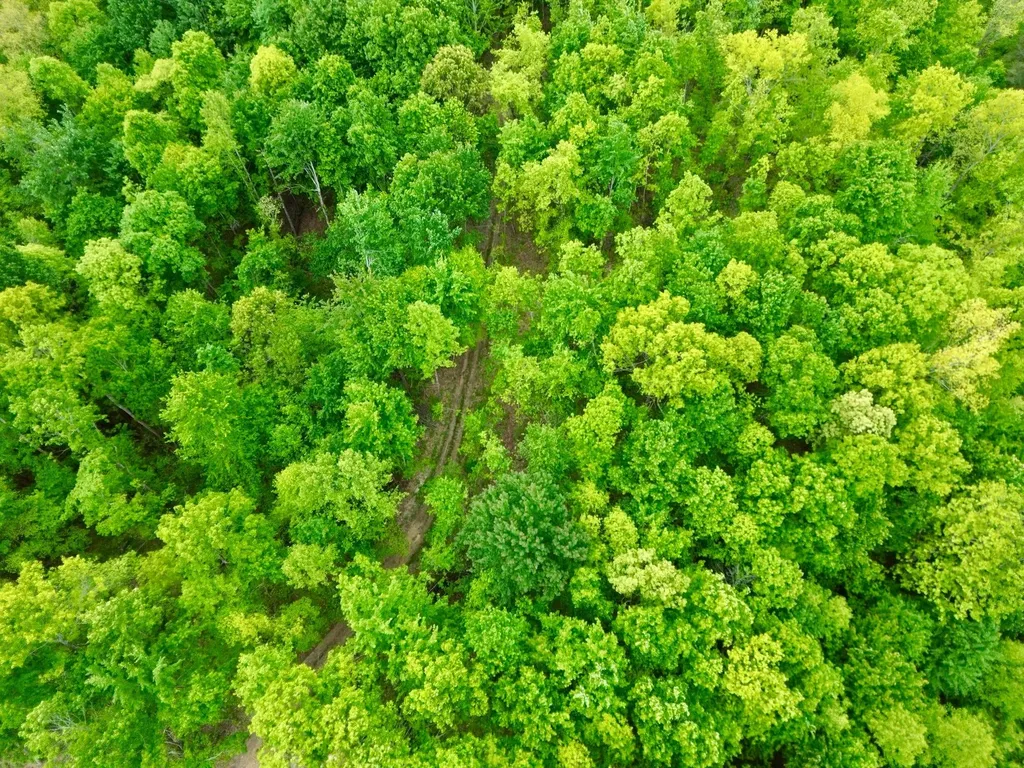 100A Open Fork Road Morehead KY 40351