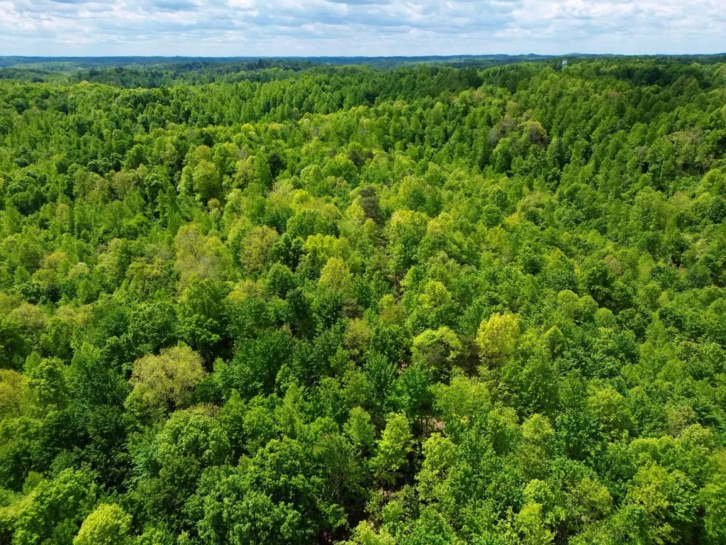 100A Open Fork Road Morehead KY 40351