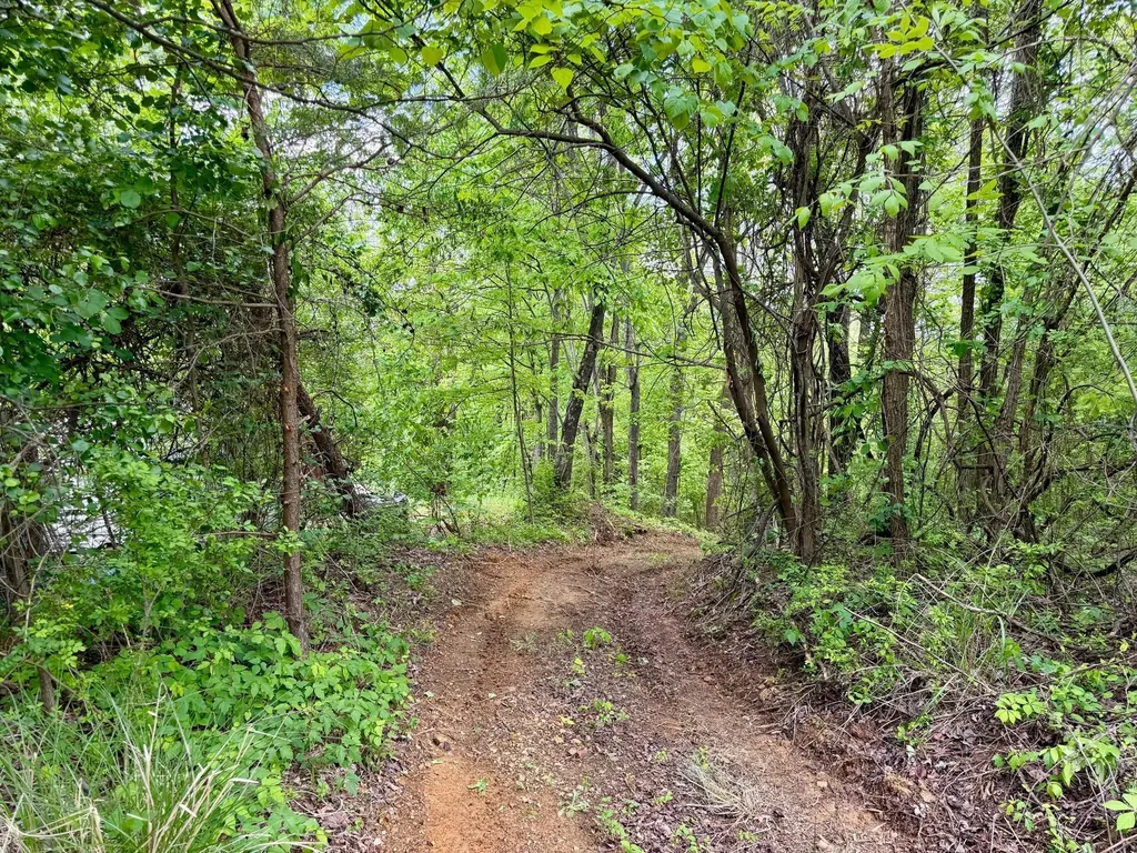 100A Open Fork Road Morehead KY 40351