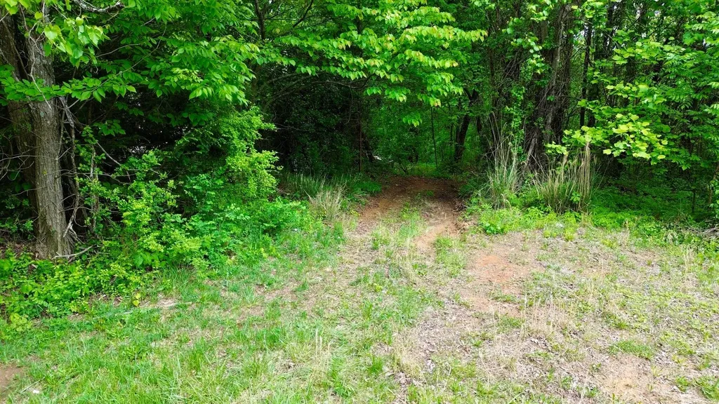 100A Open Fork Road Morehead KY 40351