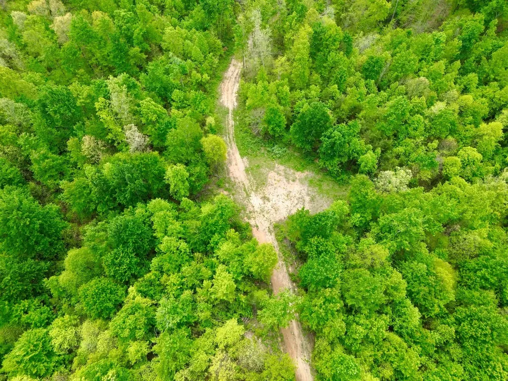 100A Open Fork Road Morehead KY 40351