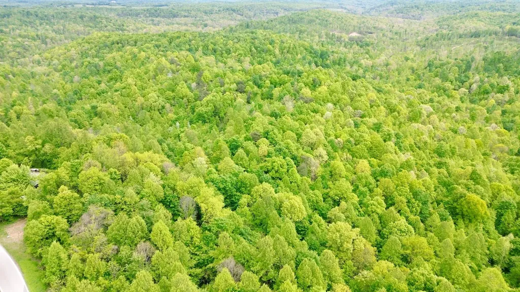 100A Open Fork Road Morehead KY 40351