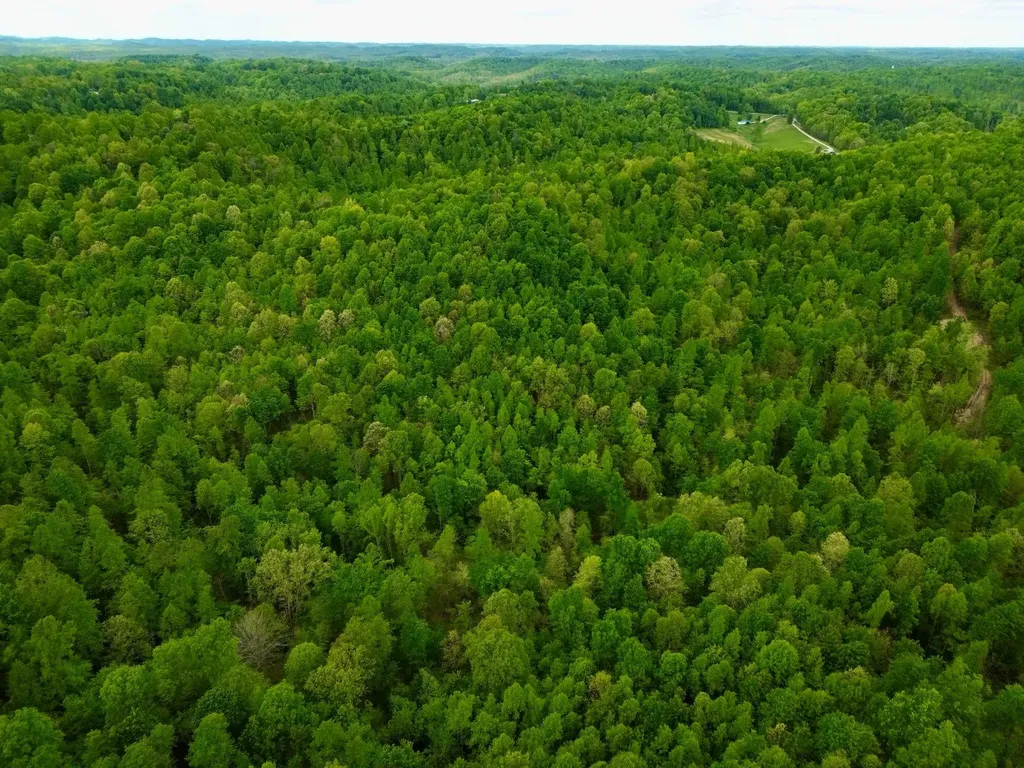 100A Open Fork Road Morehead KY 40351