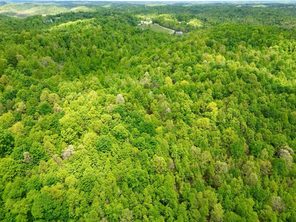 100A Open Fork Road Morehead KY 40351