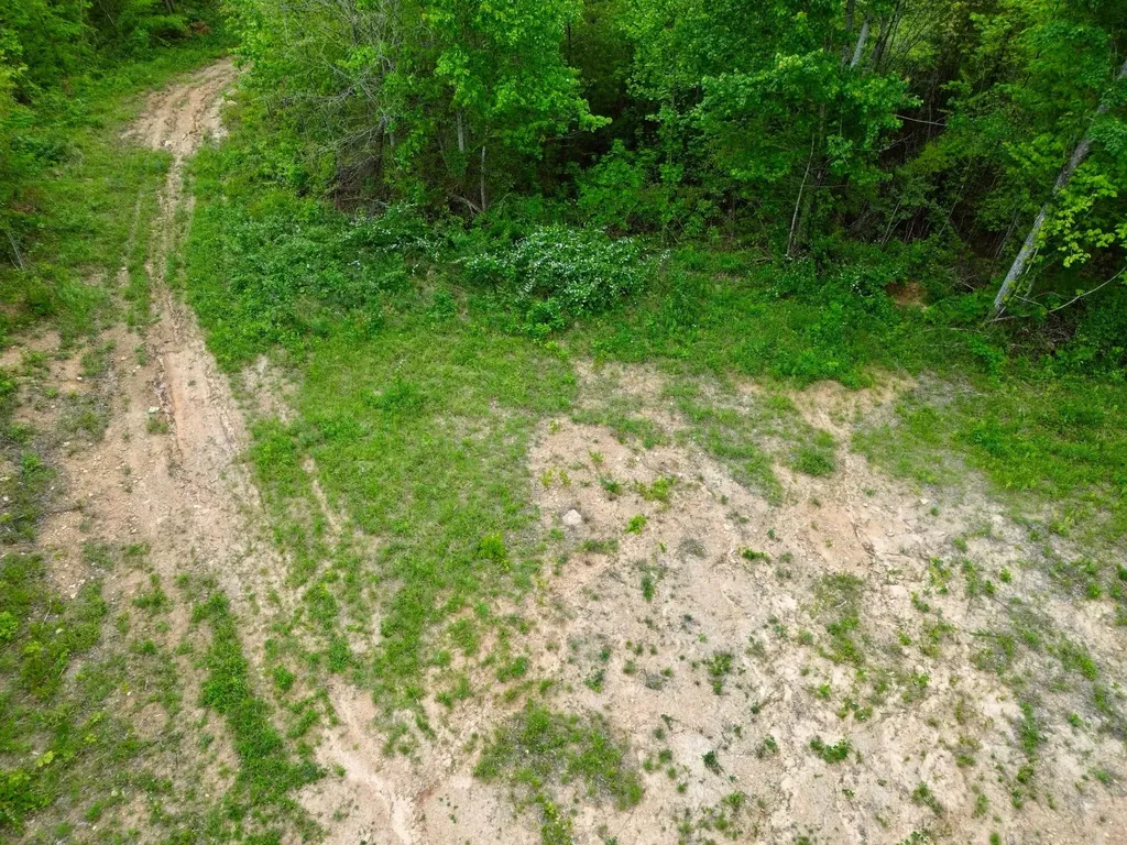 100A Open Fork Road Morehead KY 40351