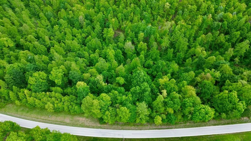 100A Open Fork Road Morehead KY 40351