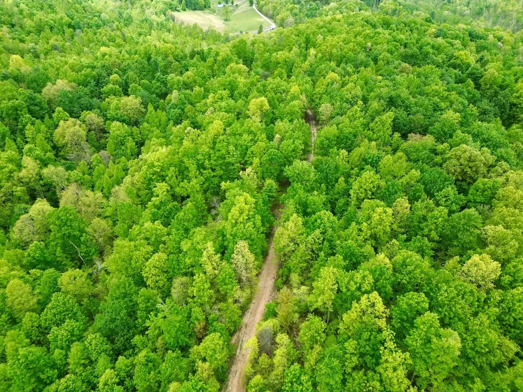 100A Open Fork Road Morehead KY 40351