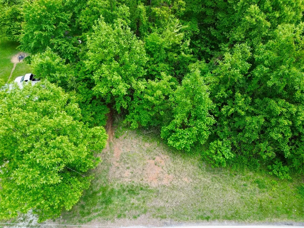 100A Open Fork Road Morehead KY 40351