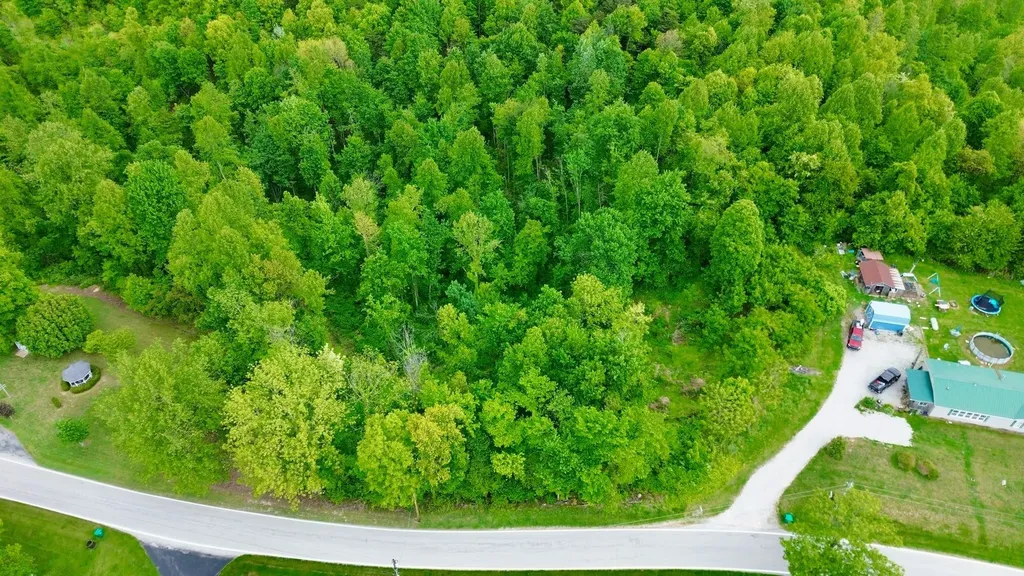 100A Open Fork Road Morehead KY 40351