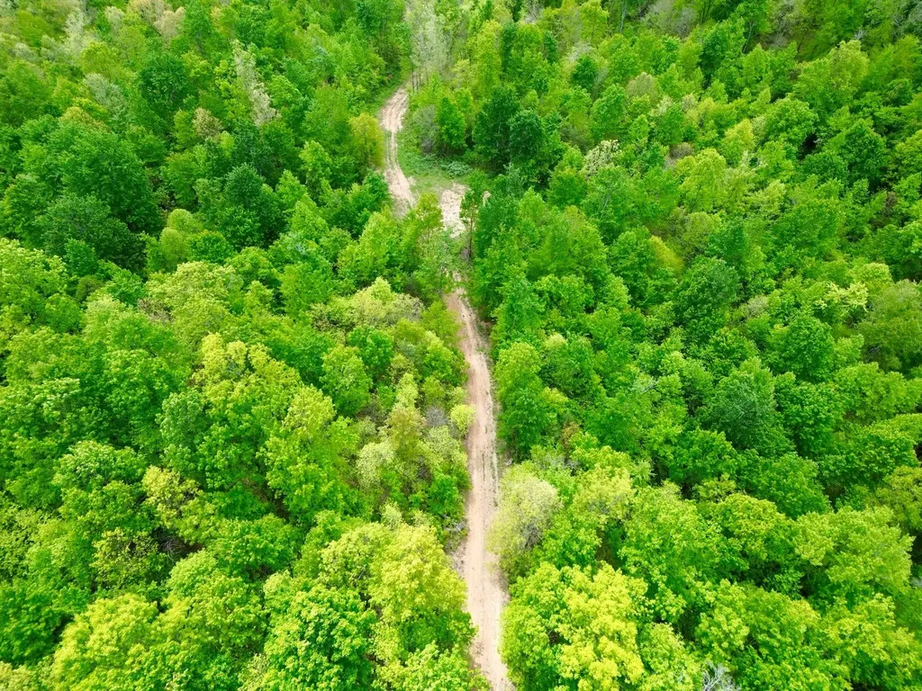 100A Open Fork Road Morehead KY 40351