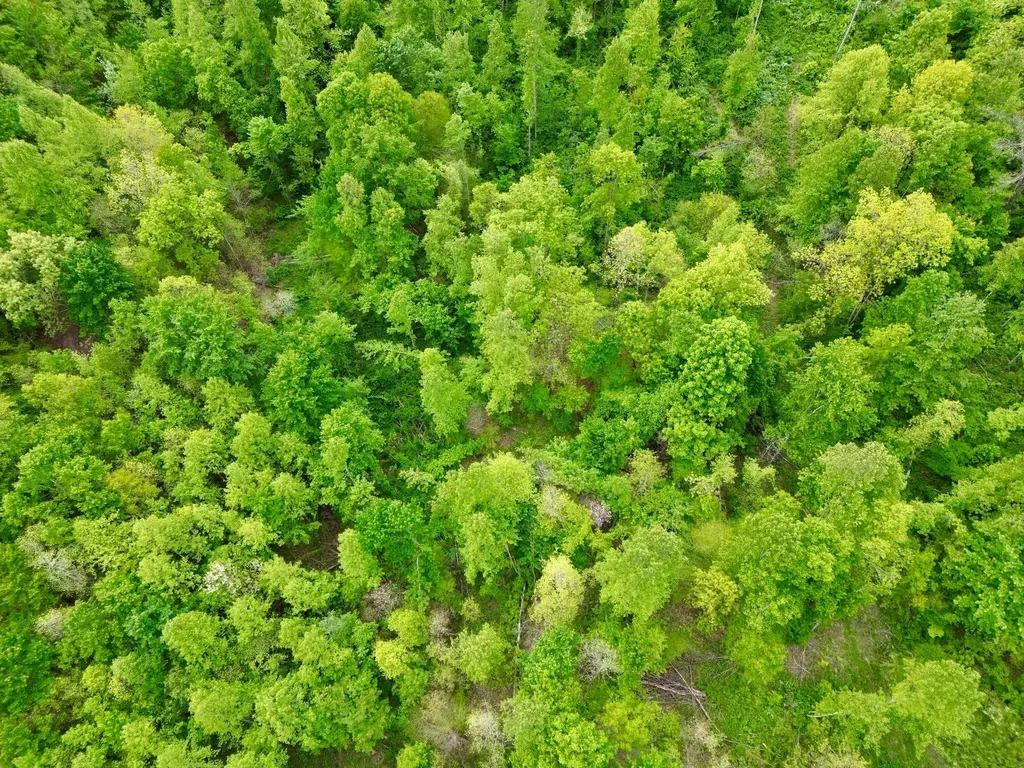 100A Open Fork Road Morehead KY 40351