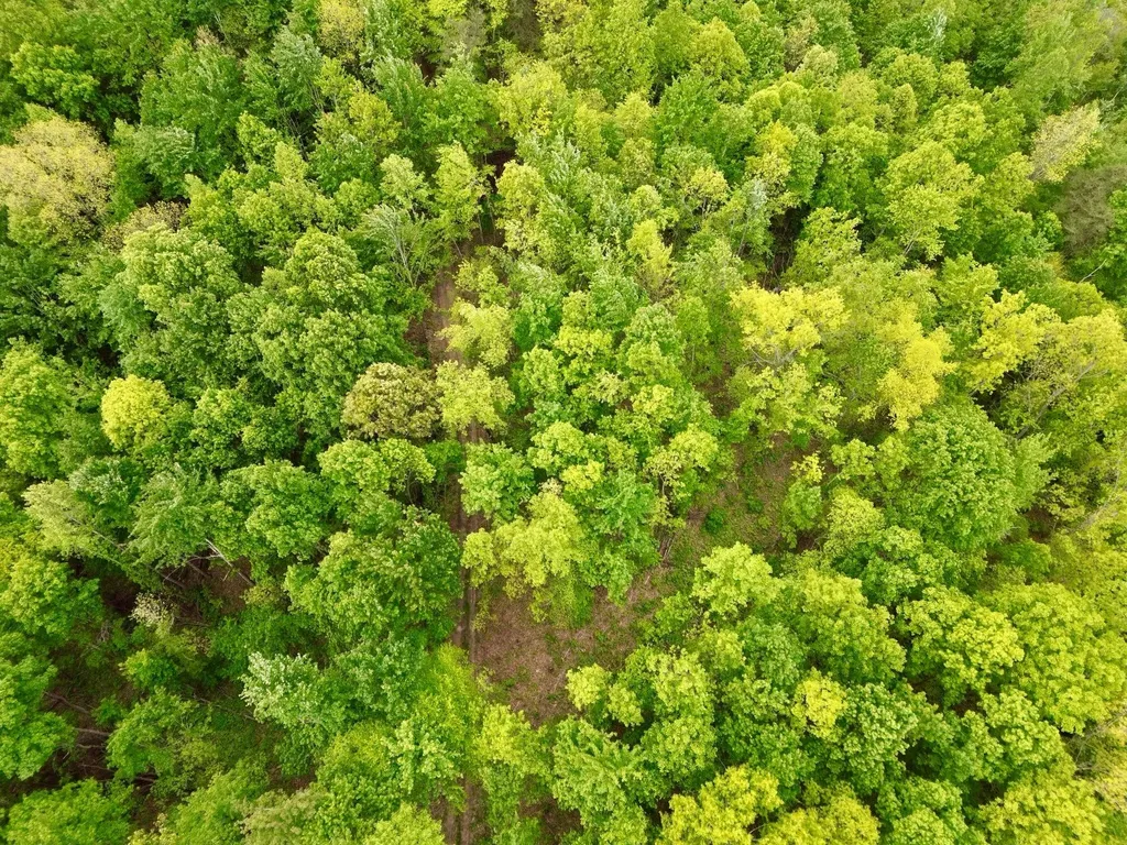 100A Open Fork Road Morehead KY 40351