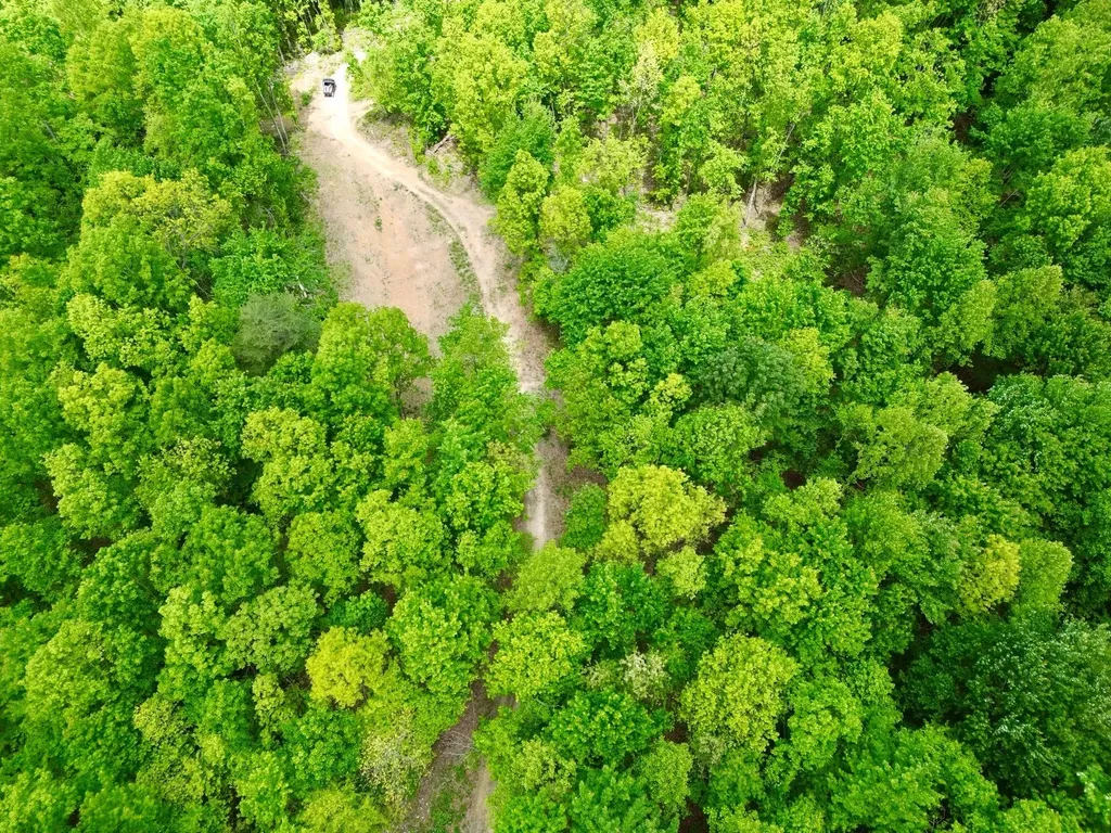 100A Open Fork Road Morehead KY 40351