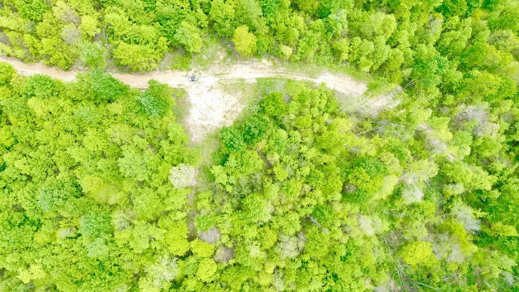 100A Open Fork Road Morehead KY 40351