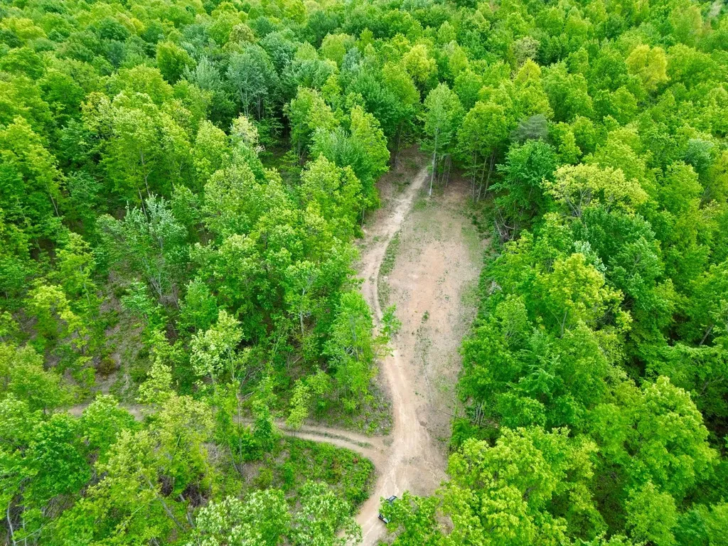 100A Open Fork Road Morehead KY 40351