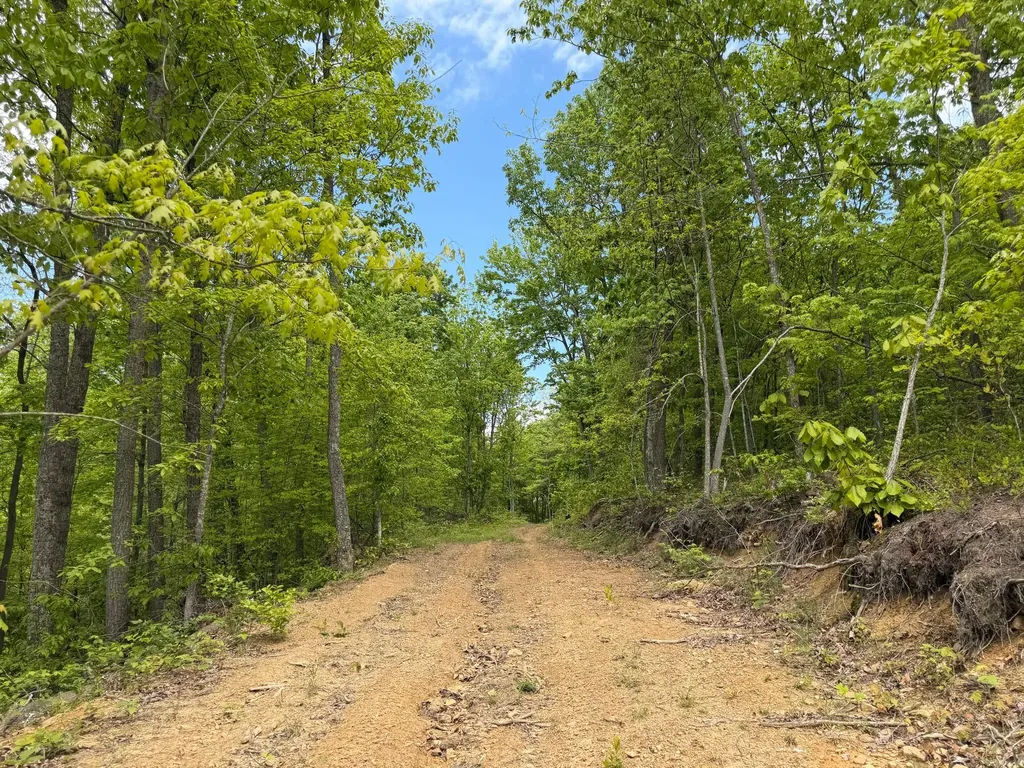 100A Open Fork Road Morehead KY 40351