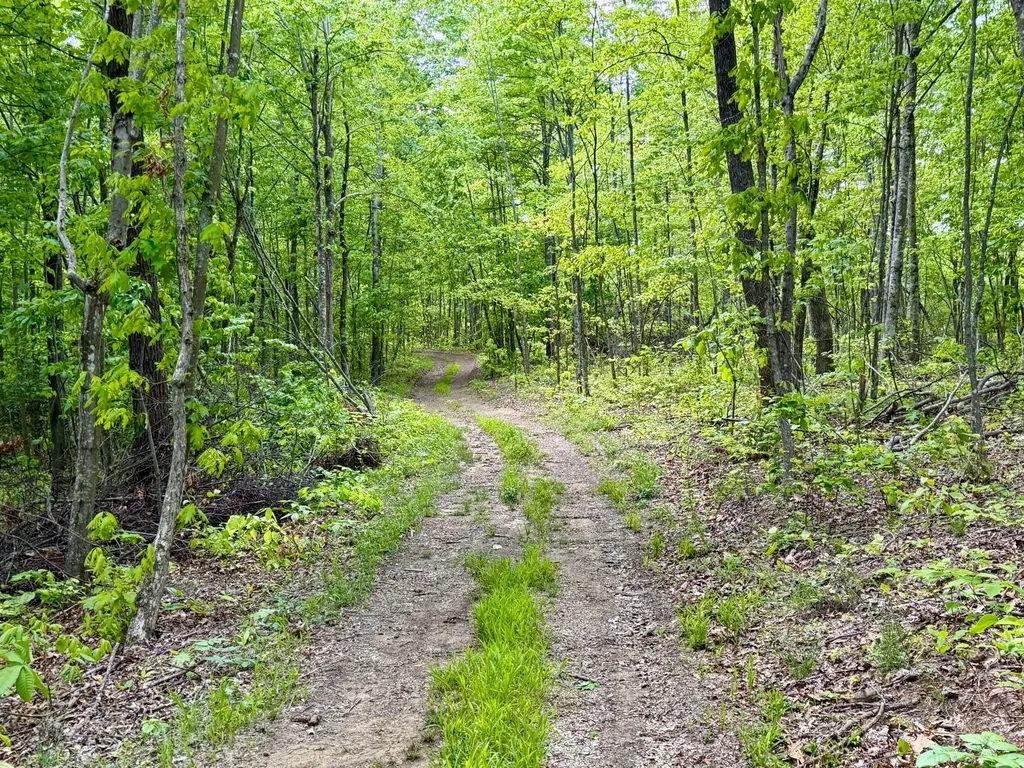 100A Open Fork Road Morehead KY 40351