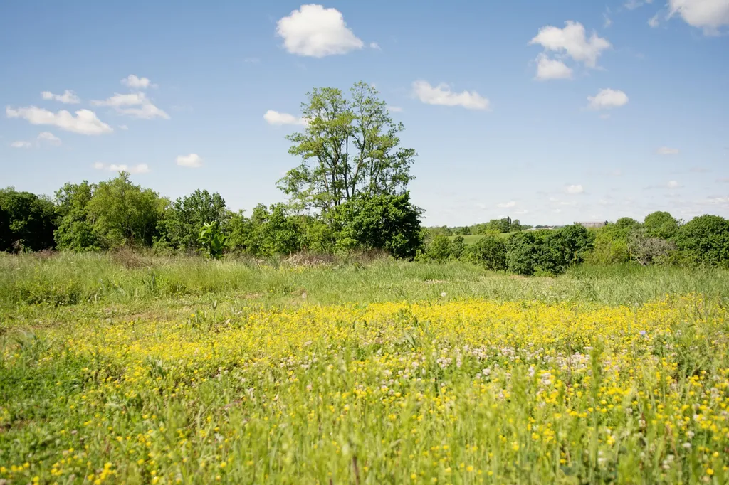 9733 Buckeye Road Lancaster KY 40444