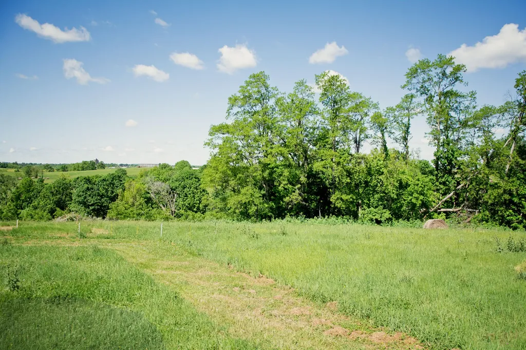 9733 Buckeye Road Lancaster KY 40444