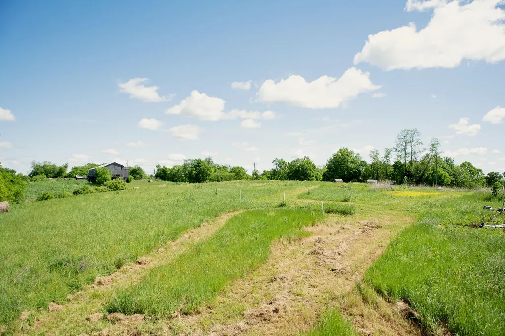 9733 Buckeye Road Lancaster KY 40444