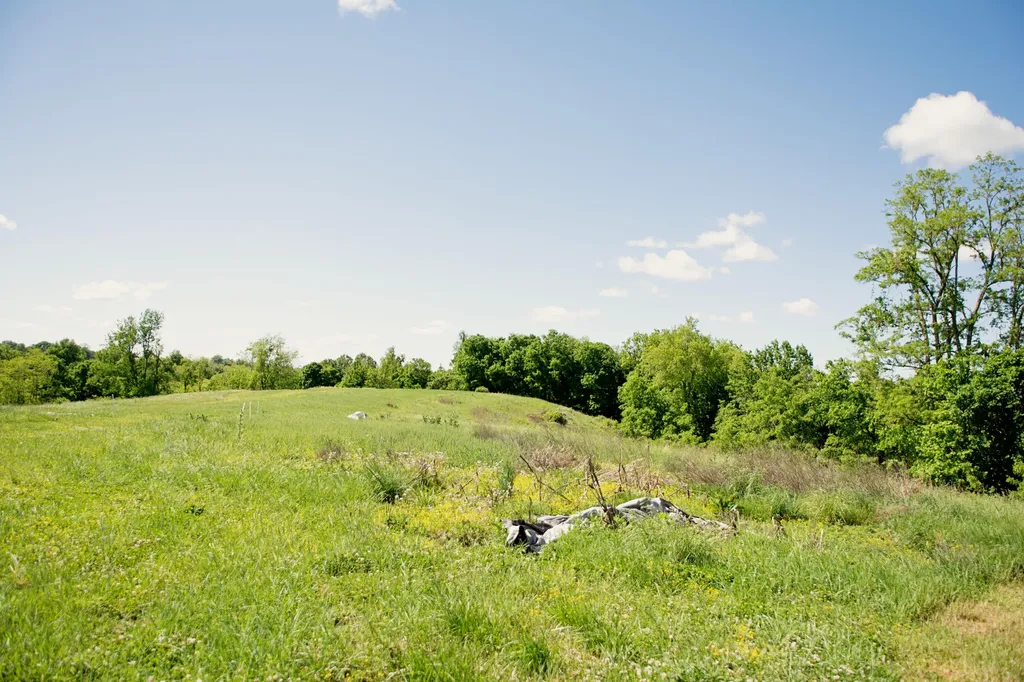 9733 Buckeye Road Lancaster KY 40444