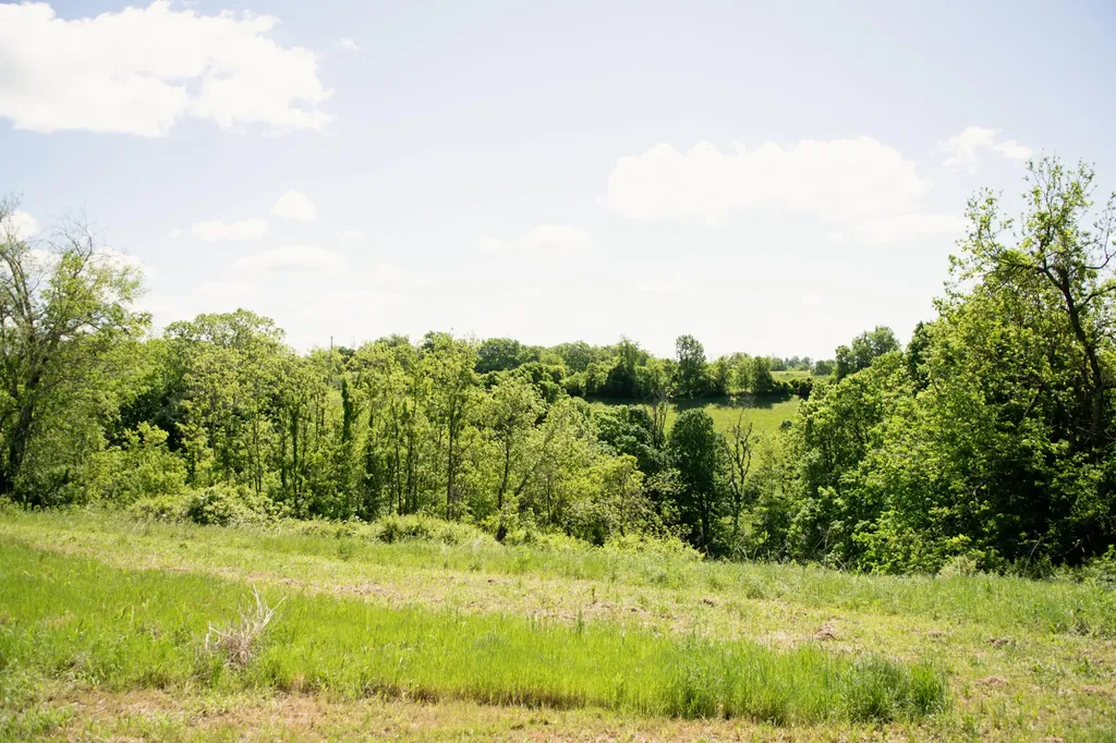 9733 Buckeye Road Lancaster KY 40444