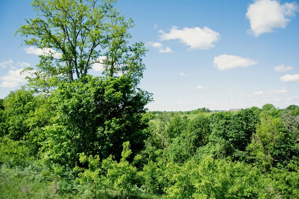 9733 Buckeye Road Lancaster KY 40444