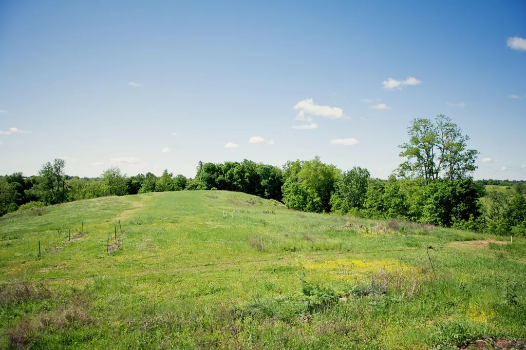 9733 Buckeye Road Lancaster KY 40444