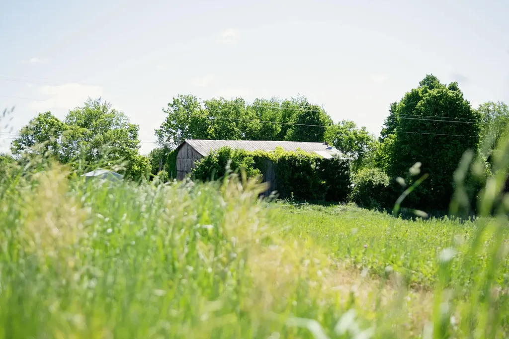 9733 Buckeye Road Lancaster KY 40444