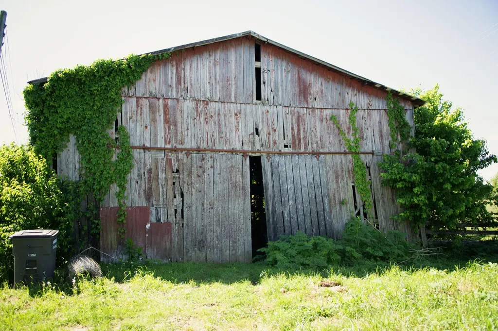 9733 Buckeye Road Lancaster KY 40444